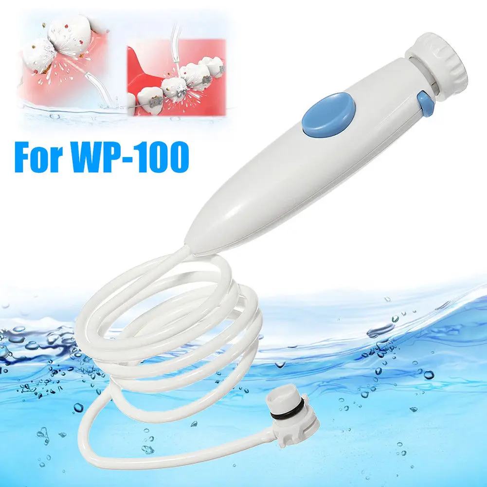 Water Flosser Waterpik WP-100  - Water Bath Laboratory 리뷰 및 가격