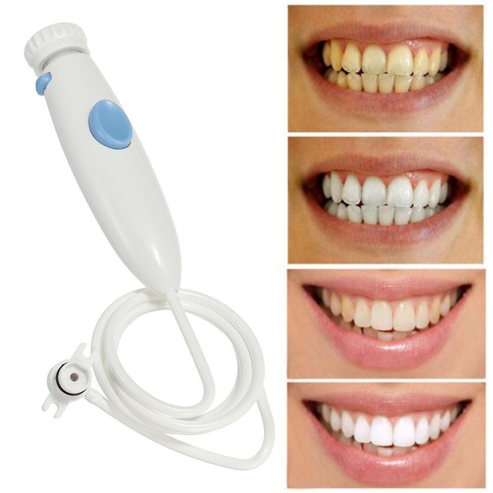 Water Flosser Waterpik WP-100  - Water Bath Laboratory 리뷰 및 가격